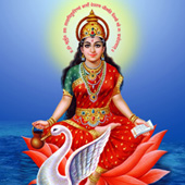 Comment Image 1