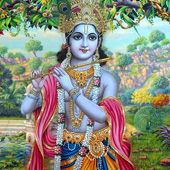 Comment Image 1