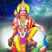 Comment Image 1